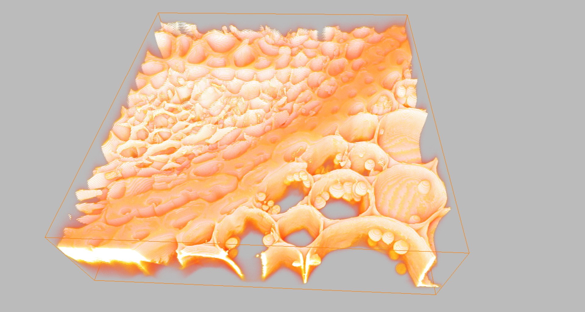 3d section lily valley stalk
