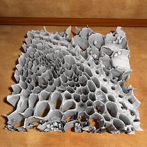 Lily of the Valley Stalk Cross Section