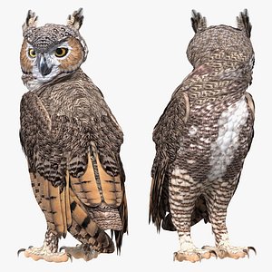 great horned owl rigged 3D model