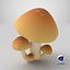 Mushrooms