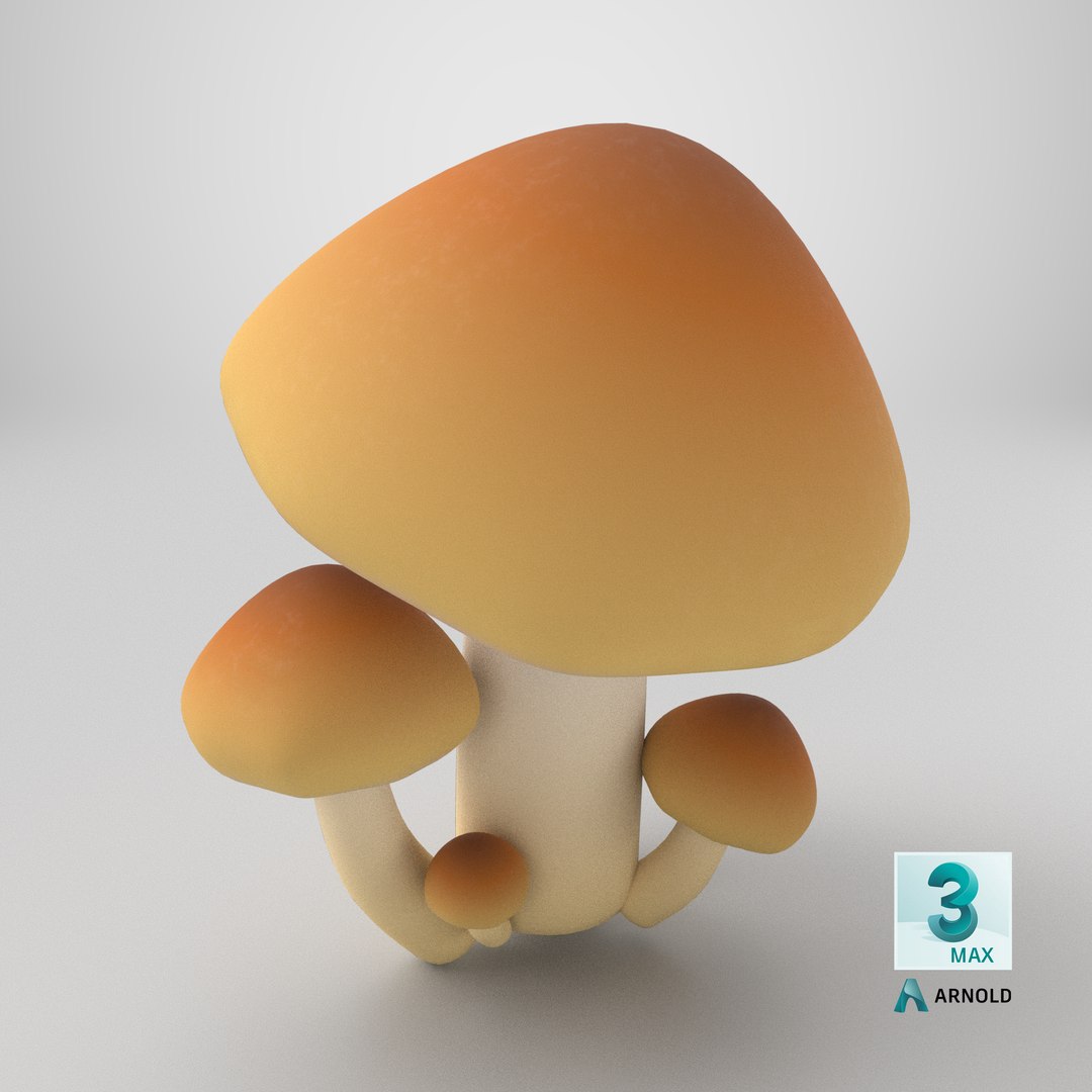 Mushrooms 3D model https://p.turbosquid.com/ts-thumb/CX/Aw1J5i/JT/stemcell_max_arnold_render/png/1791895305/1920x1080/fit_q87/f2477f2aace86c7ac5f2a6b970b757e7e87bb03a/stemcell_max_arnold_render.jpg