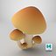 Mushrooms