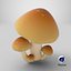 Mushrooms