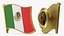 Flag Lapel Pins Collection