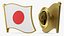 Flag Lapel Pins Collection