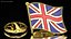 Flag Lapel Pins Collection