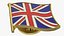 Flag Lapel Pins Collection