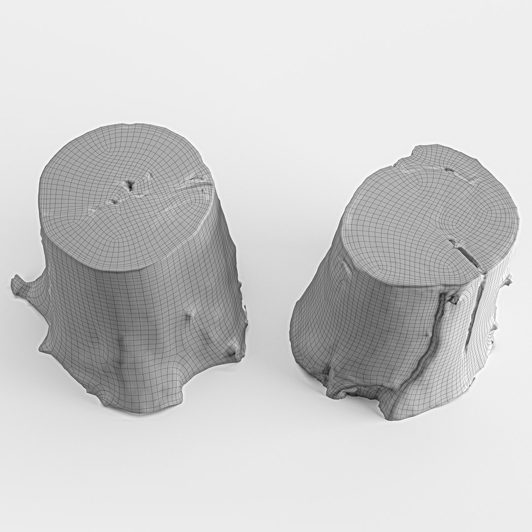 Scan stumps 3D model - TurboSquid 1614611