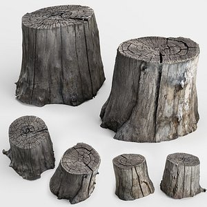 photoscan of two stumps photogrammetry