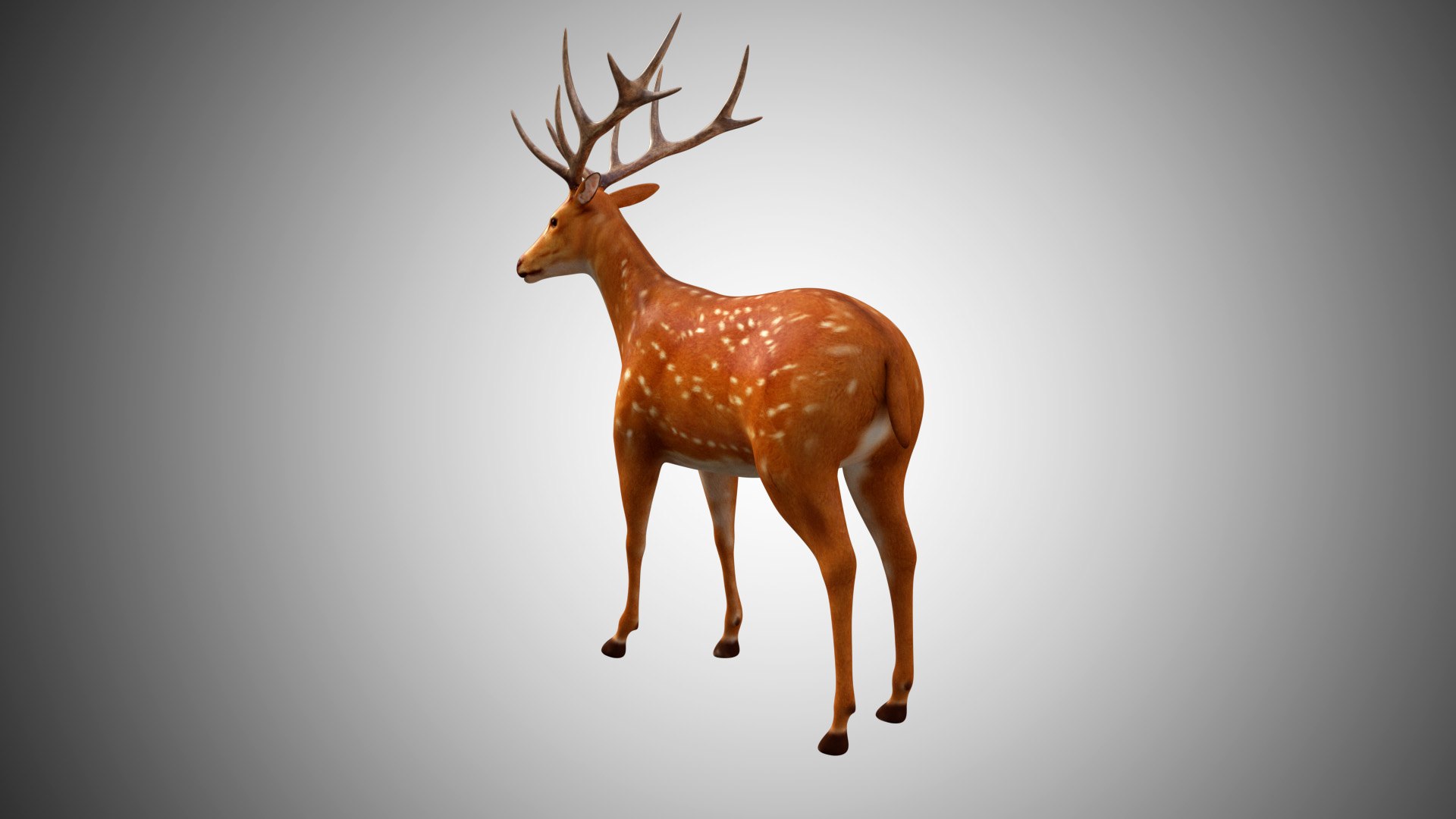 3D deer rigged model - TurboSquid 1601092