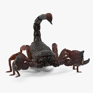 Walking Scorpion Animated Rigged for Maya