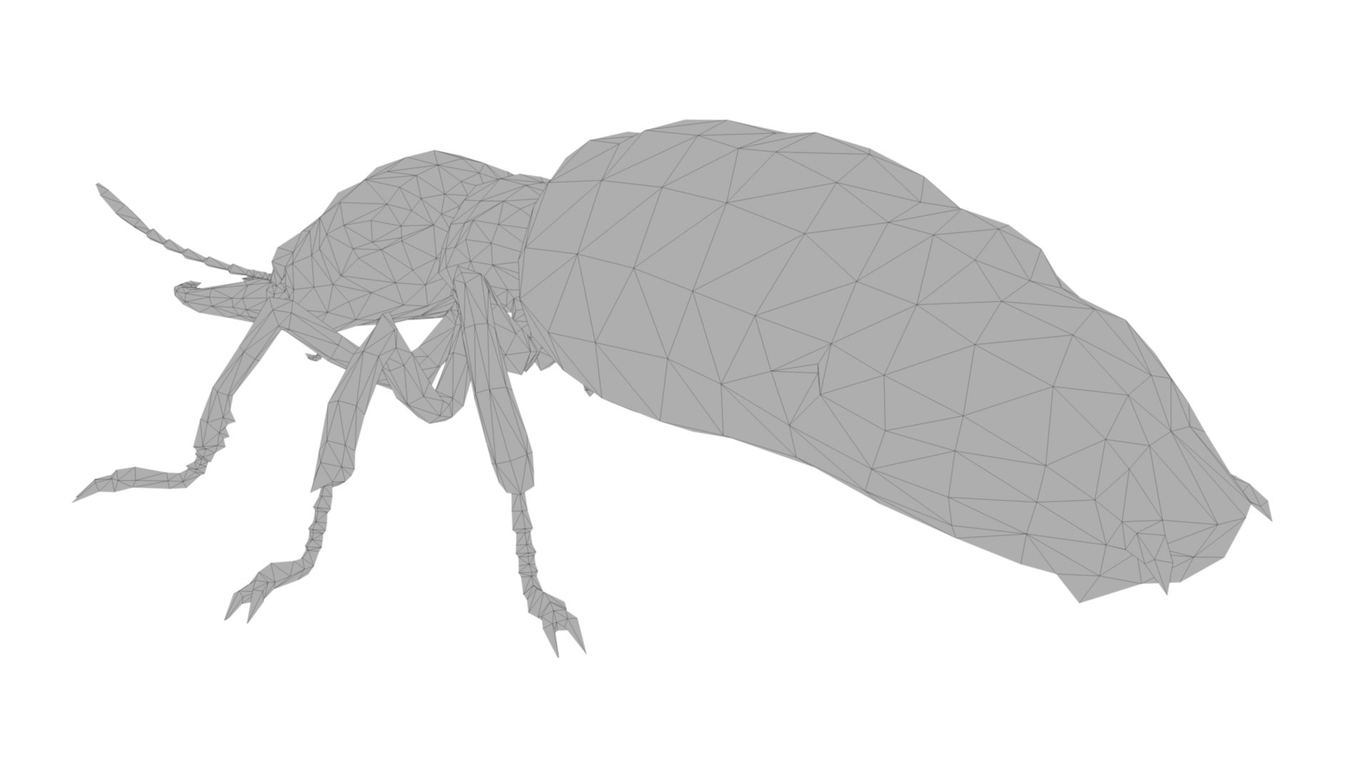 Ant model - TurboSquid 1927003