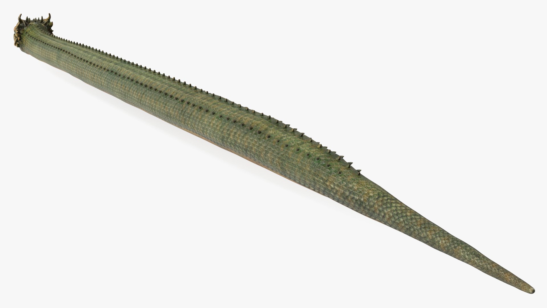 Mythical Serpentine Dragon Rigged for Maya 3D model https://p.turbosquid.com/ts-thumb/CX/mGQRew/5q/mythicalserpentinedragonriggedformayac4dmodel019/jpg/1727867862/1920x1080/fit_q87/4a5dddc9233842211e8945816c760cbe44101c5d/mythicalserpentinedragonriggedformayac4dmodel019.jpg