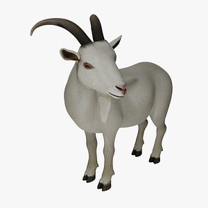 3D model goat animal mammal