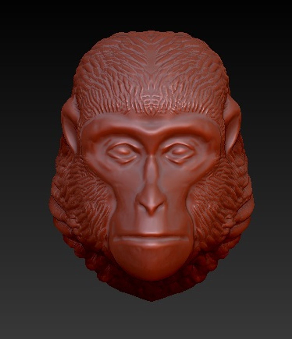 obj monkey head https://p.turbosquid.com/ts-thumb/CX/sRK8GK/Vn2CF1TY/02/jpg/1454574207/1920x1080/fit_q87/77b09cccfc3bc5cf9f4dbe3ec64ed0fef9949b06/02.jpg