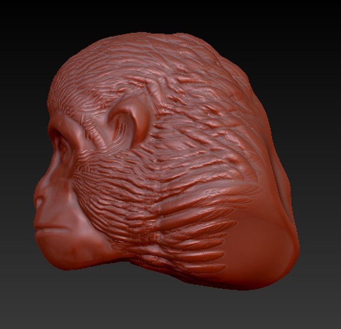 obj monkey head https://p.turbosquid.com/ts-thumb/CX/sRK8GK/oKZbvDKV/03/jpg/1454574207/1920x1080/fit_q87/53c5d278e74a5dc8b93ac4faeffee28245db98bf/03.jpg