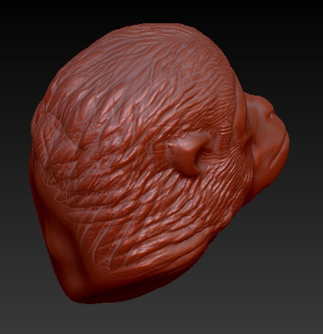 obj monkey head https://p.turbosquid.com/ts-thumb/CX/sRK8GK/yn1y3U7G/04/jpg/1454574207/1920x1080/fit_q87/f31ac5f66d09cf1420253d8063b3fa17a14d86a8/04.jpg