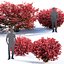 Euonymus bush set #1
