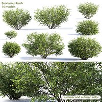 Euonymus bush set #1