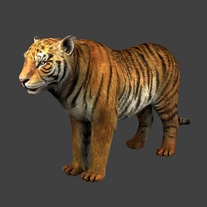 3D tiger riging fur