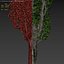 Poplar Populus nigra V4 3D model
