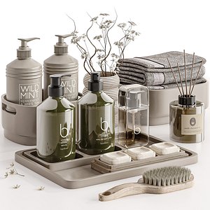 Bathroom Accessories 11 3D model