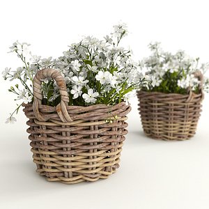 3d model flowers basket