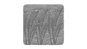 Wheat relief