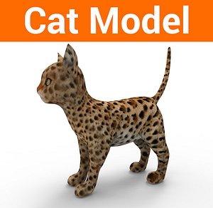 cute cat model