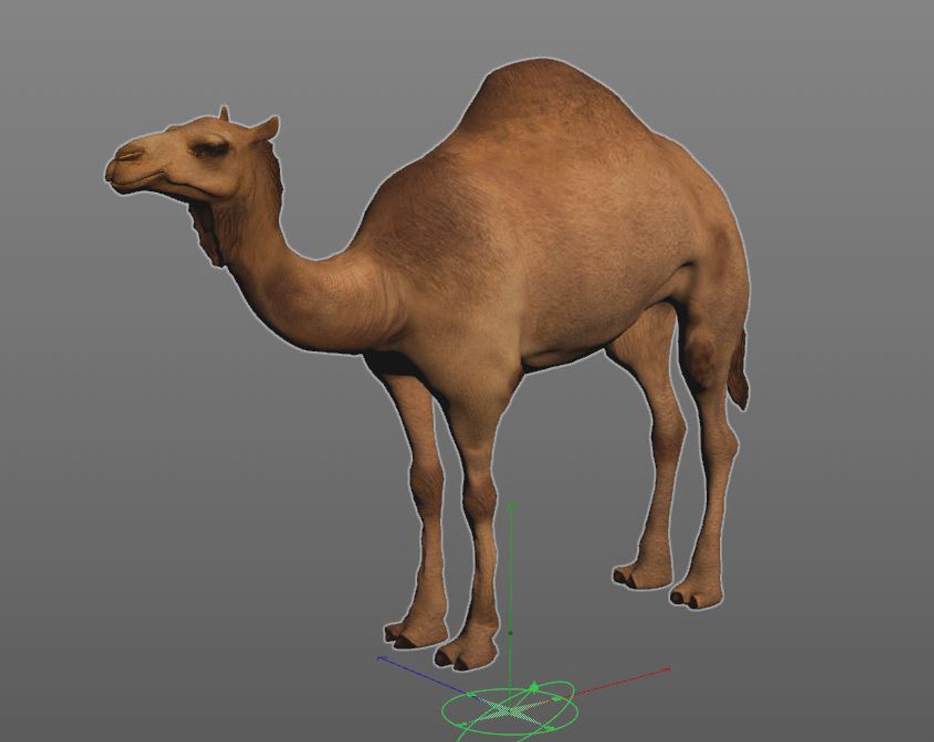 rigged hairs 3D model https://p.turbosquid.com/ts-thumb/CY/nN54zD/MkS0YUE3/5/jpg/1587122826/1920x1080/fit_q87/c626a045d271fa5655bd4c547560119deeee2e5e/5.jpg