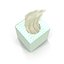 Tissue Box