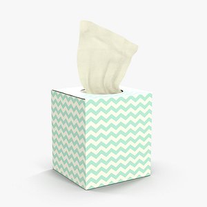3D tissue box model