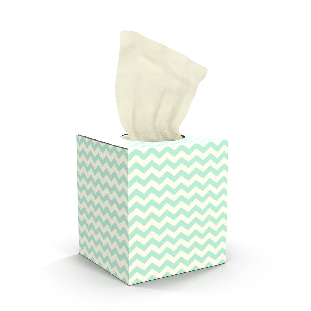3D tissue box model https://p.turbosquid.com/ts-thumb/CY/xE8brZ/eXkxAWdE/2/jpg/1501847360/1920x1080/fit_q87/cc3f5e4f54562bd508f63d7a12439c7f05dee0f8/2.jpg