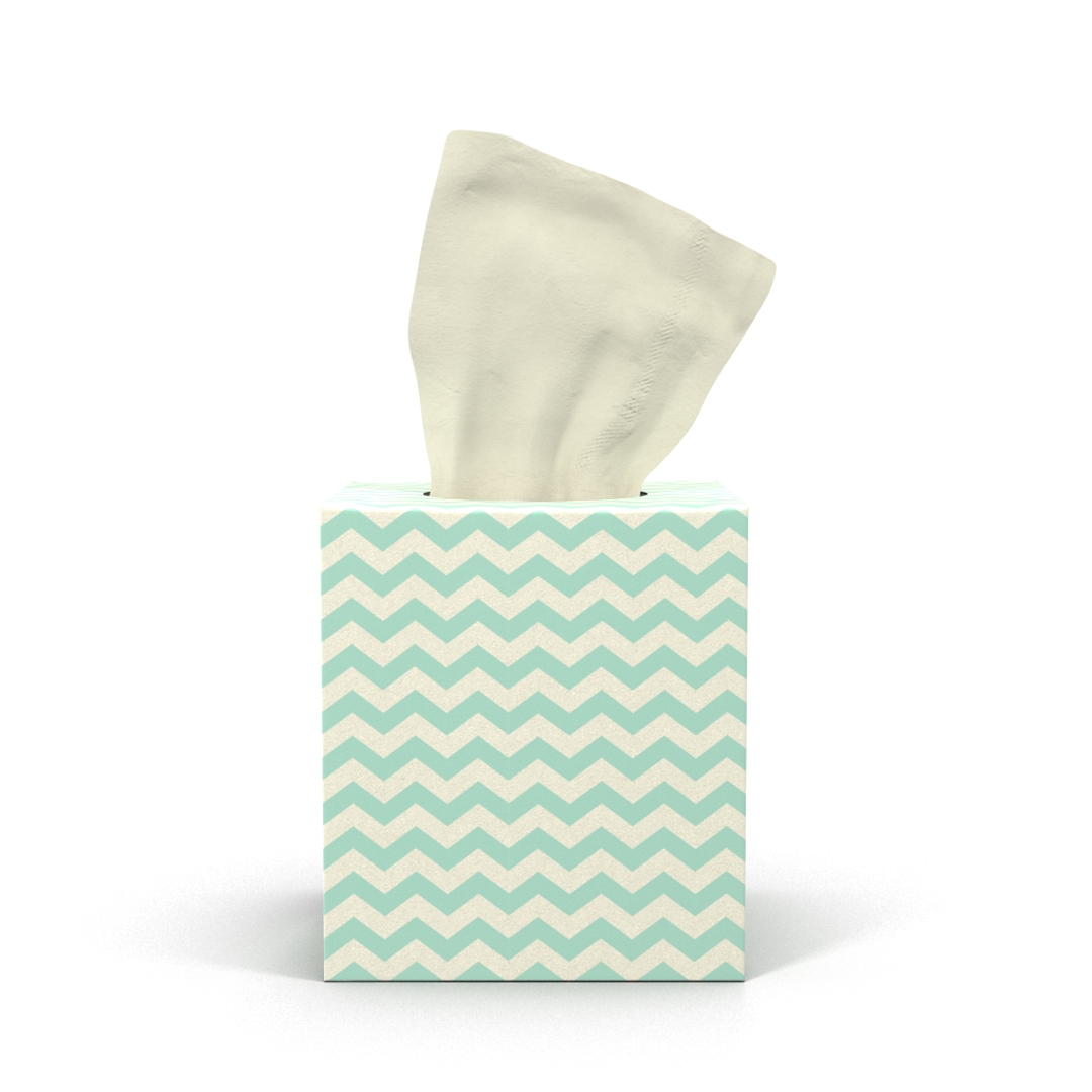 3D tissue box model https://p.turbosquid.com/ts-thumb/CY/xE8brZ/fvSgphfY/01/jpg/1501848555/1920x1080/turn_fit_q99/1d1261116c4160b9c5c8a8250a918ba08488fe1d/01-1.jpg