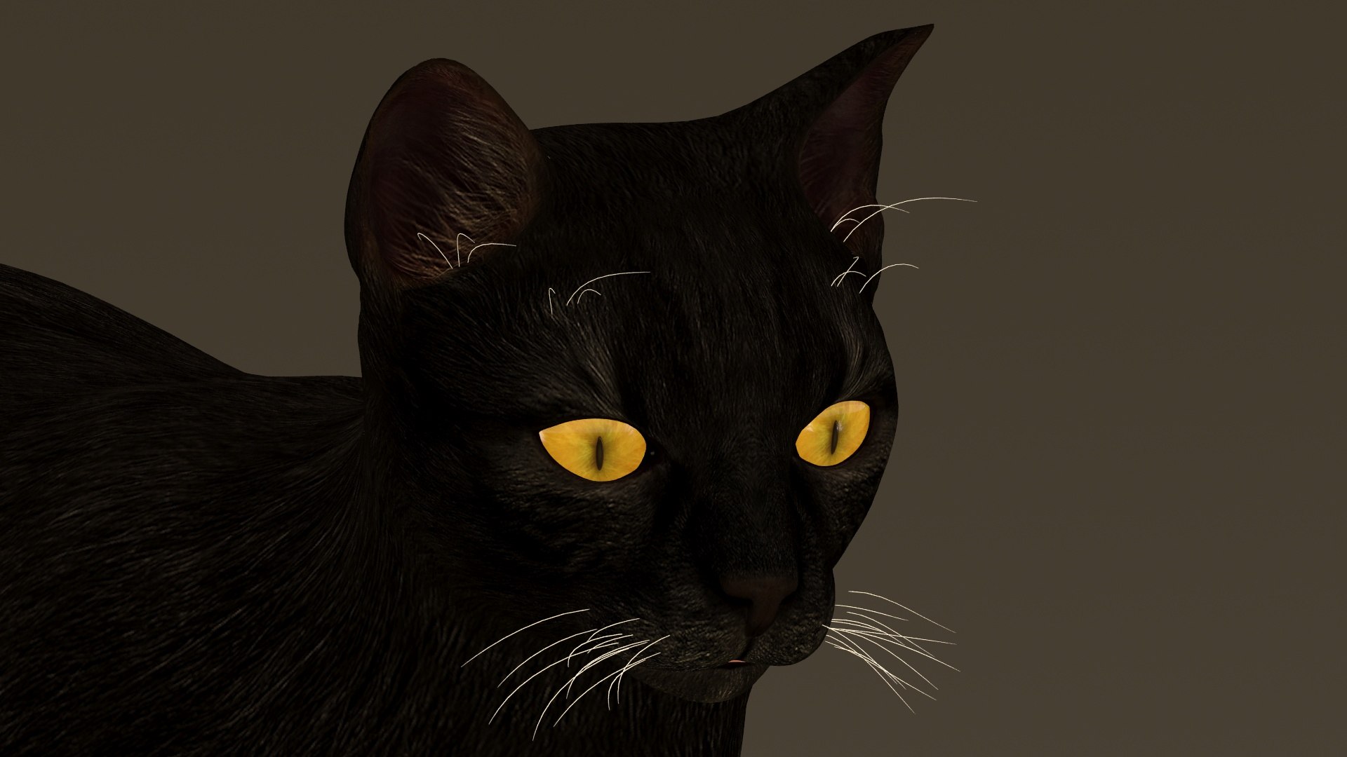 32,327 Two Black Cat Images, Stock Photos, 3D objects, & Vectors