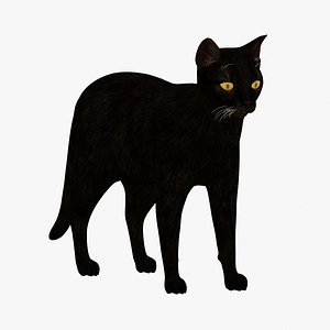 3D black cat modeled model