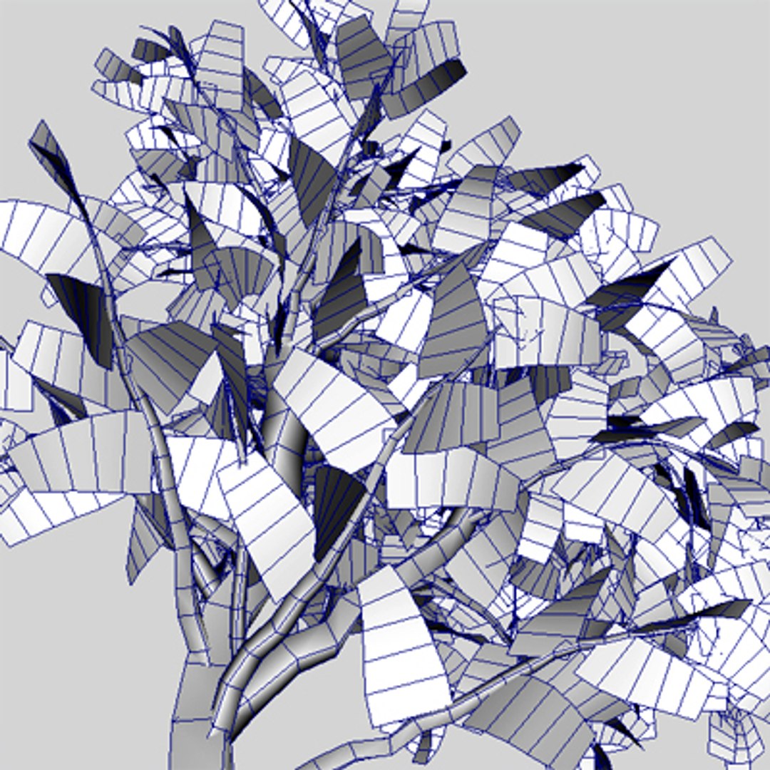 3d Model Of Birch Tree