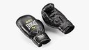 Sparring Boxing Gloves Everlast