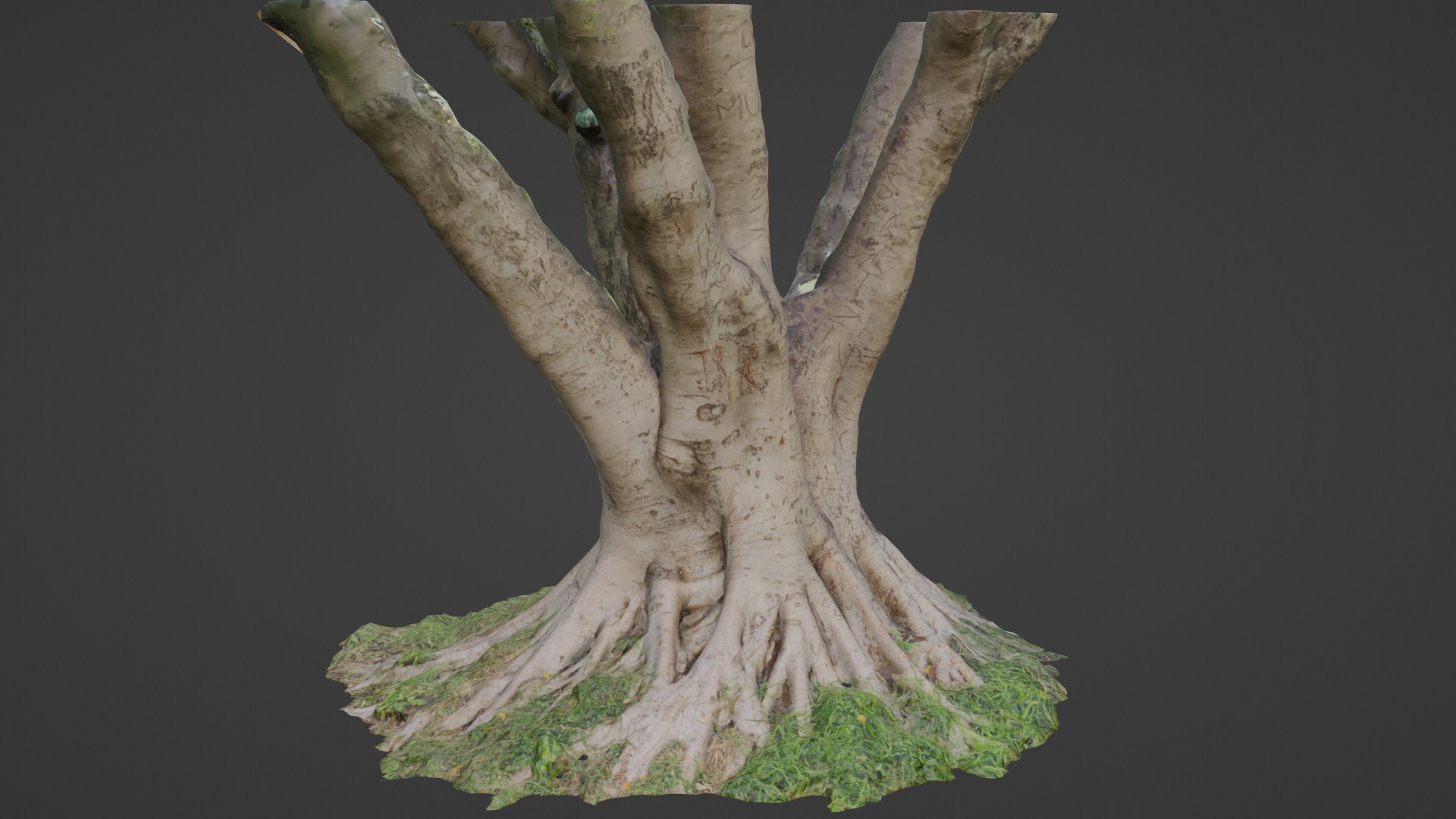 3D Stylized Tree - TurboSquid 2329384