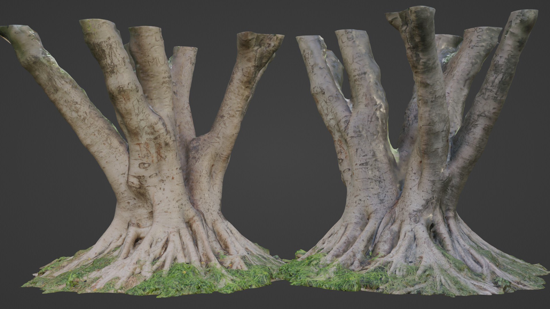 3D Stylized Tree - TurboSquid 2329384