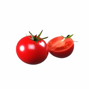 Tomato 3D model