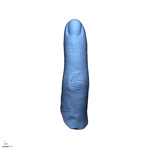 Woman finger