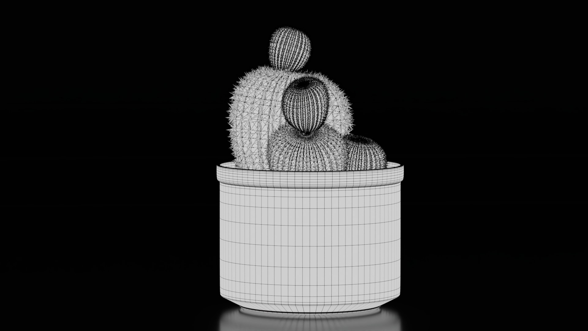 3D Potted Cactus Plants https://p.turbosquid.com/ts-thumb/CZ/Sna98u/3l/wire2/jpg/1762780528/1920x1080/fit_q87/1eafb04902dce810684161737515b878fc728845/wire2.jpg