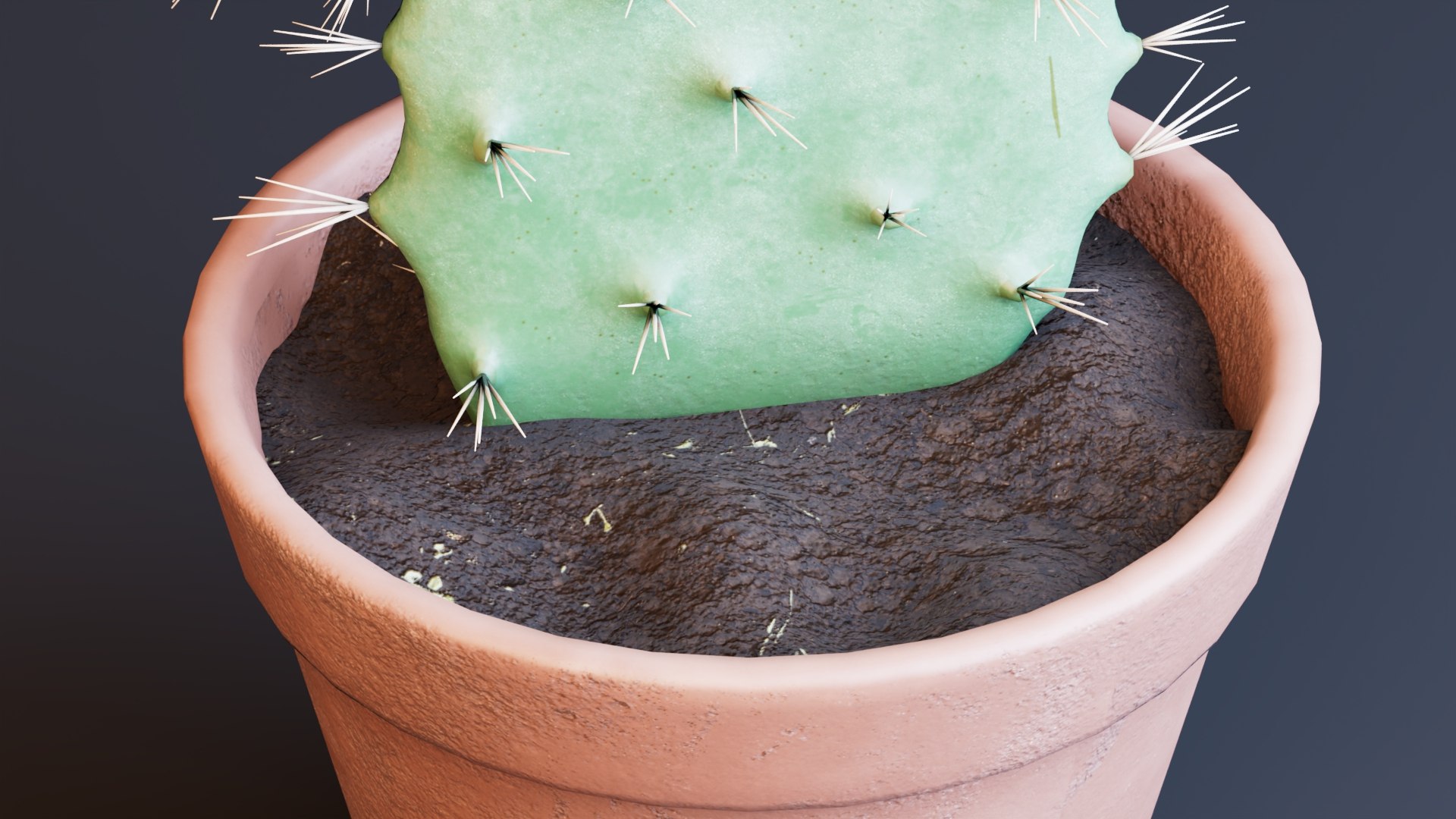 3D Potted Cactus Plants https://p.turbosquid.com/ts-thumb/CZ/Sna98u/OP/preview9/jpg/1762780525/1920x1080/fit_q87/a129fd0a3dd3ee8fafa5b880cd5825550ea3b3c7/preview9.jpg