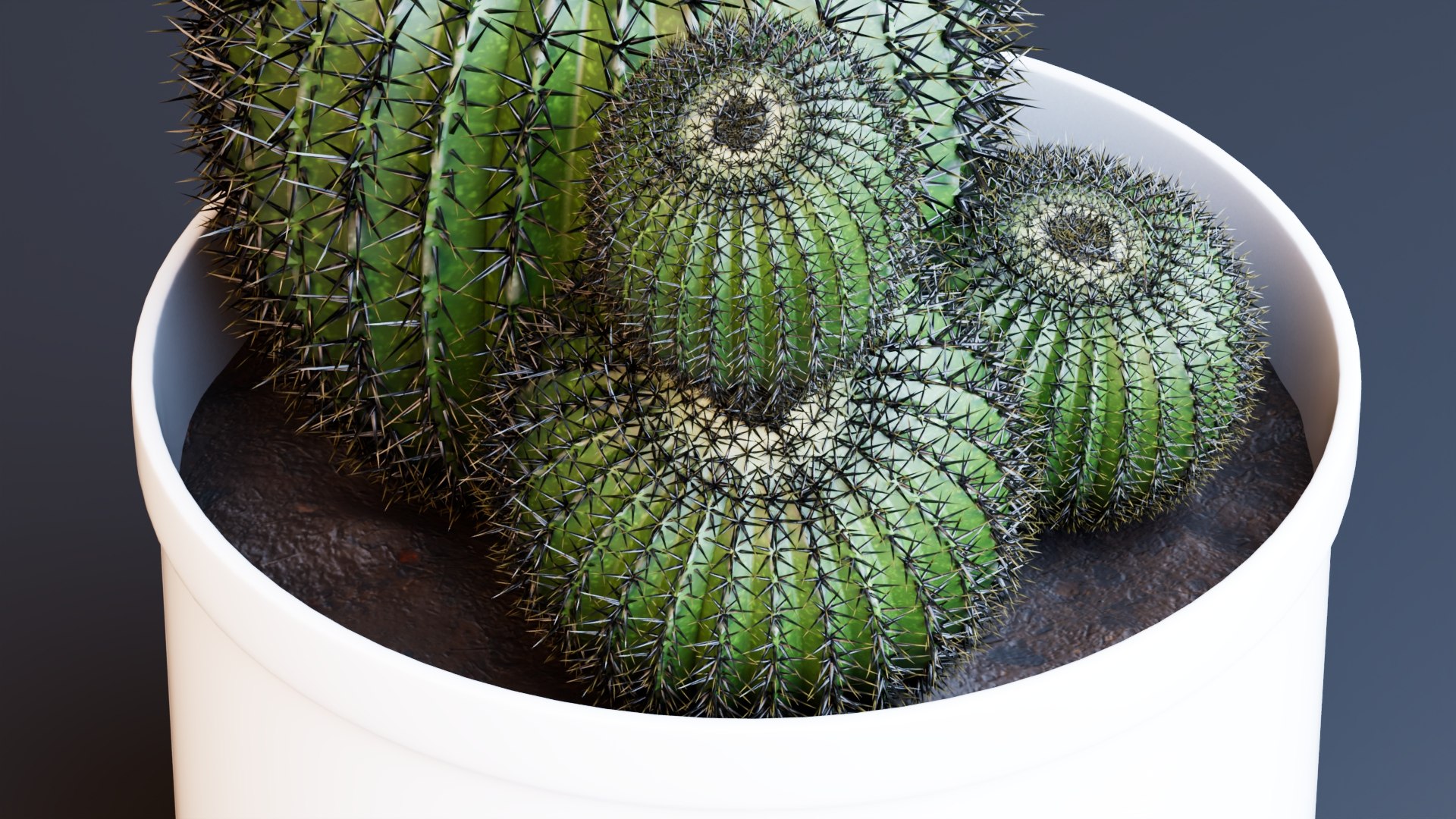 3D Potted Cactus Plants https://p.turbosquid.com/ts-thumb/CZ/Sna98u/Pb/preview8/jpg/1762780524/1920x1080/fit_q87/4e8c3926ef390e0bcaec20c12f24a2b12f6fe711/preview8.jpg