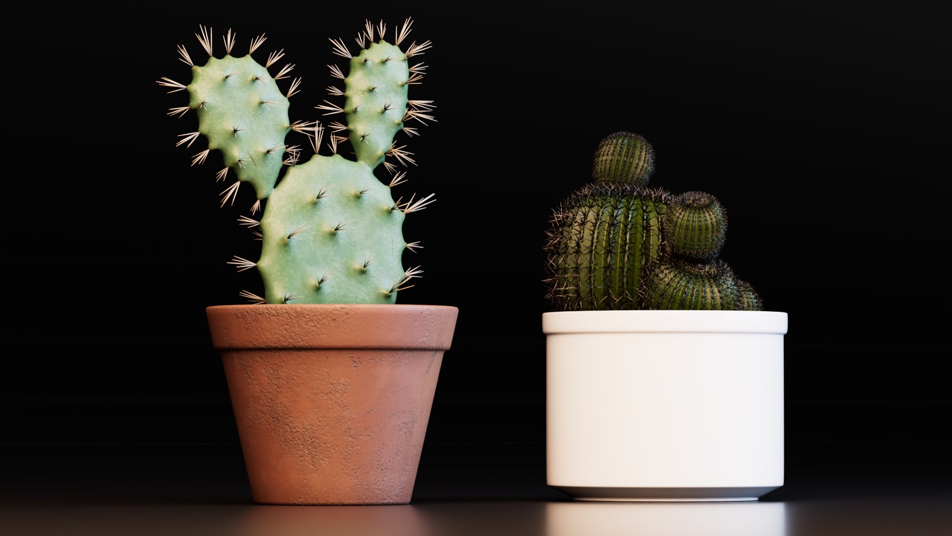 3D Potted Cactus Plants https://p.turbosquid.com/ts-thumb/CZ/Sna98u/Se/preview2/jpg/1762780522/1920x1080/fit_q87/29243f84a040b36701cd40ab0e4095bc46c0570a/preview2.jpg