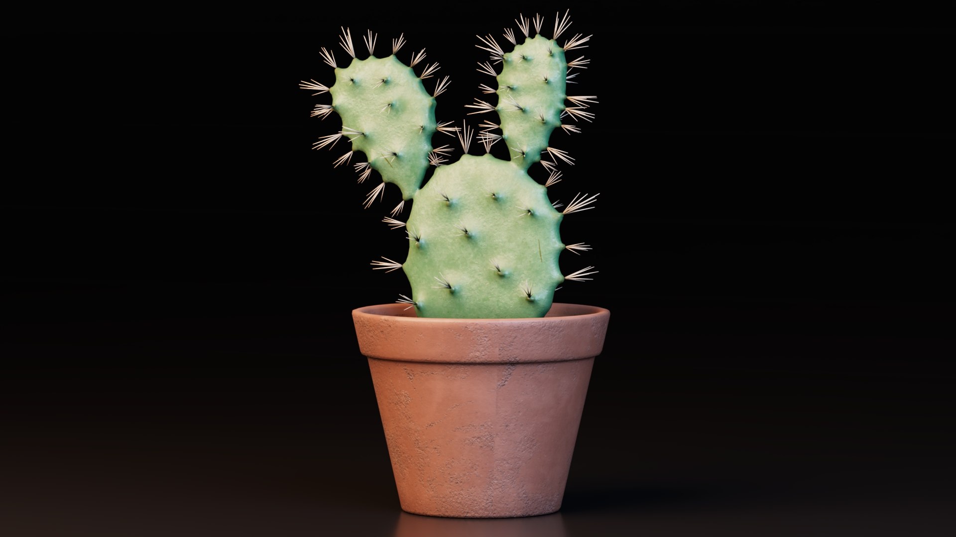 3D Potted Cactus Plants https://p.turbosquid.com/ts-thumb/CZ/Sna98u/UW/preview4/jpg/1762780521/1920x1080/fit_q87/1800fa1349afb41b8513309e5ae434406ad91f7d/preview4.jpg