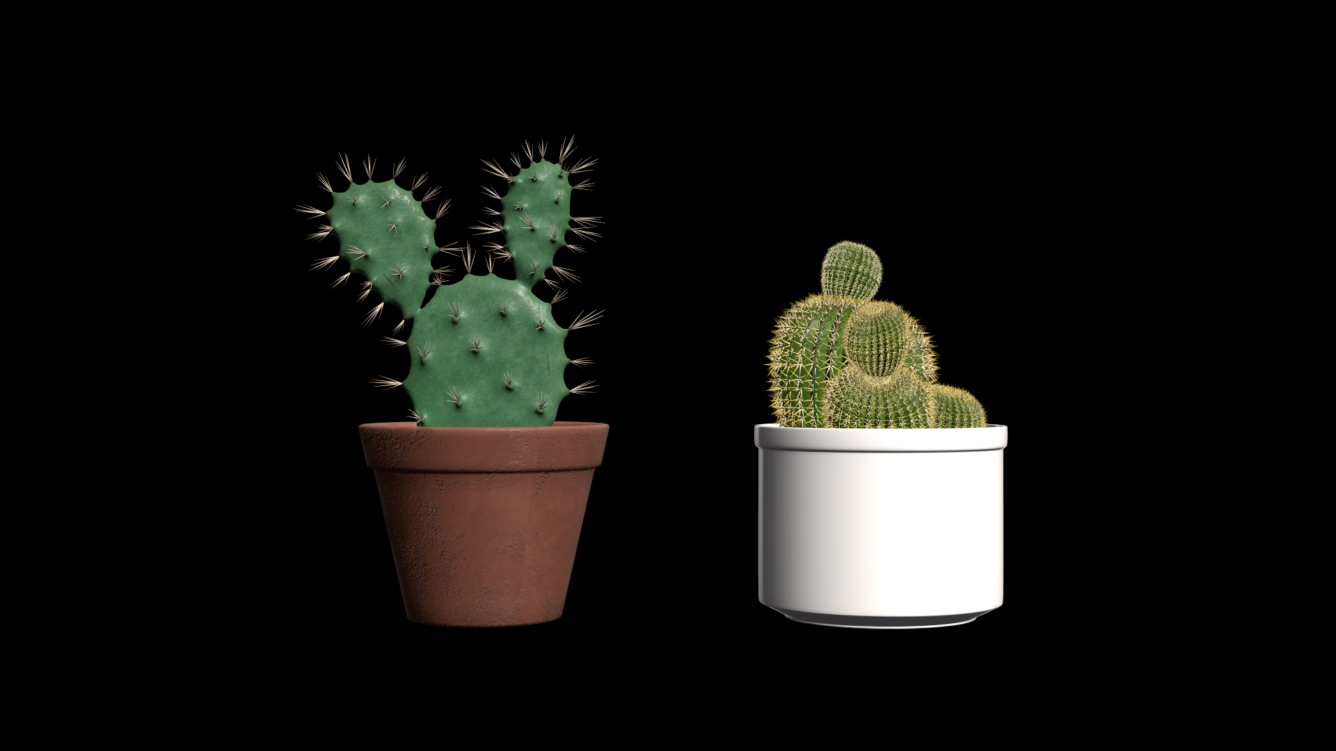 3D Potted Cactus Plants https://p.turbosquid.com/ts-thumb/CZ/Sna98u/XJ/plants/jpg/1762780528/1920x1080/turn_fit_q99/38f199bbcd33f1dce89f1f68bb5018a5c91778a9/plants-1.jpg