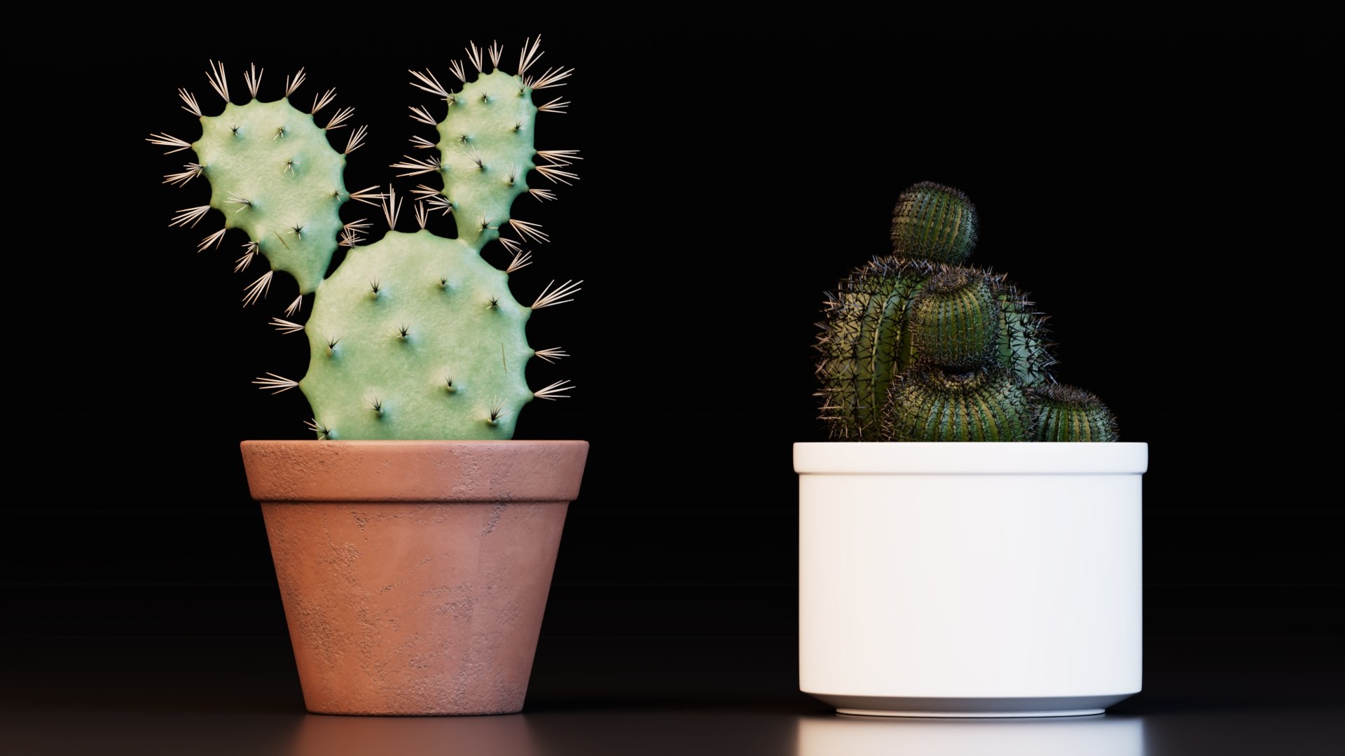 3D Potted Cactus Plants https://p.turbosquid.com/ts-thumb/CZ/Sna98u/Xk/preview3/jpg/1762780521/1920x1080/fit_q87/c79087e385f92c49c91091b0d10eaf911b62a027/preview3.jpg