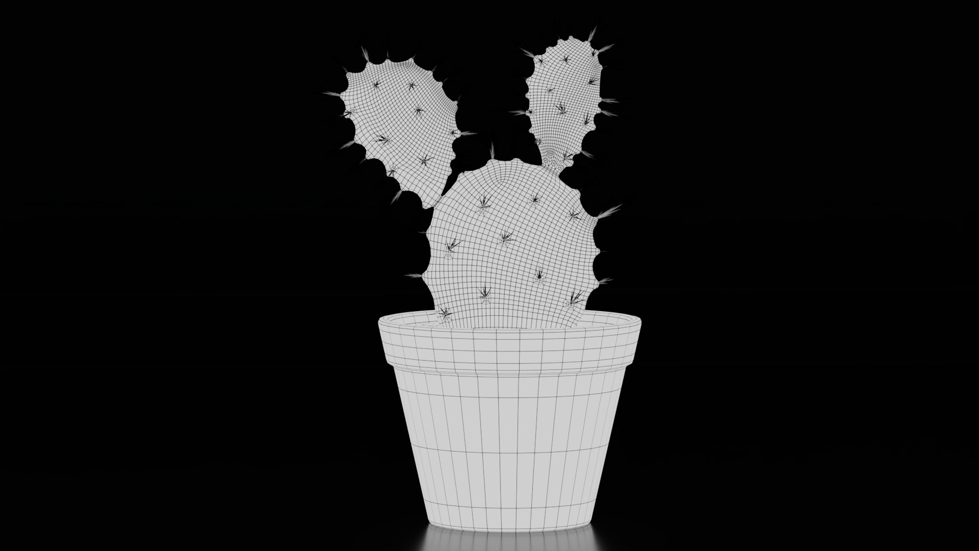 3D Potted Cactus Plants https://p.turbosquid.com/ts-thumb/CZ/Sna98u/eV/wire1/jpg/1762780526/1920x1080/fit_q87/376e09e40a798c248d10433419bed420a3243124/wire1.jpg